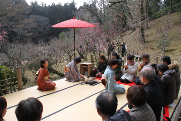 成田山の梅まつり｜お茶会